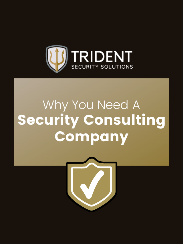 Why You Need A Security Consulting Company